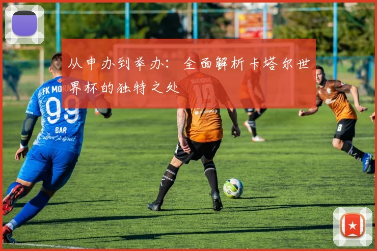 从申办到举办：全面解析卡塔尔世界杯的独特之处